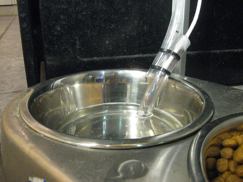 self filling pet water bowl